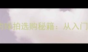 乒乓球装备指南职业选手都在用的球拍选购秘籍从入门到职业的10款顶级球板深度评测