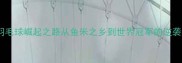 印尼羽毛球崛起之路从鱼米之乡到世界冠军的逆袭秘籍