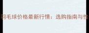 碳素羽毛球价格最新行情选购指南与性价比