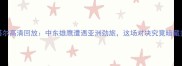 朝鲜vs卡塔尔高清回放中东雄鹰遭遇亚洲劲旅这场对决究竟暗藏多少玄机