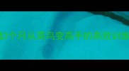 羽毛球入门必看零基础3个月从菜鸟变高手的高效训练技巧附动作分解图