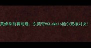 猛龙vs黄蜂季前赛前瞻东契奇VSLaMelo鲍尔双核对决5大看点