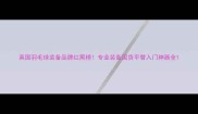 英国羽毛球装备品牌红黑榜专业装备国货平替入门神器全