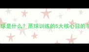 羽毛球蒸球是什么蒸球训练的5大核心目的与实战技巧