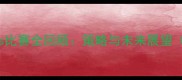 TyronneSanders比赛全回顾策略与未来展望附技术拆解
