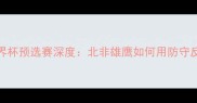 摩洛哥vs巴拿马世界杯预选赛深度北非雄鹰如何用防守反击撕碎中美洲虎