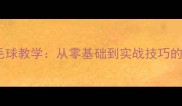 李玲蔚羽毛球教学从零基础到实战技巧的完整指南