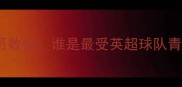 英超赛季丹麦球员数据谁是最受英超球队青睐的北欧铁卫