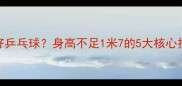 矮个子如何打好乒乓球身高不足1米7的5大核心技巧与装备选择