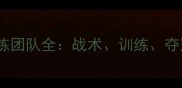 羽毛球男队教练团队全战术训练夺冠秘籍大公开