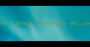 拳王VS体操王子穆罕默德阿里VS阿列克谢祖耶夫的世纪对决全