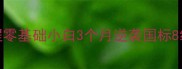 35集乒乓球保姆级教程零基础小白3个月逆袭国标8级附每日训练计划表