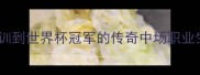 达德尔从皇马青训到世界杯冠军的传奇中场职业生涯与技术特点全