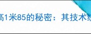 乒乓球传奇波尔身高1米85的秘密其技术统治力与训练体系全