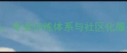 滨州0539乒乓球俱乐部专业训练体系与社区化服务打造全民乒乓新标杆