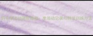羽毛球运动进阶指南度活动记录与科学训练方法