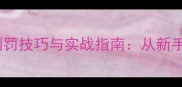 羽毛球裁判员临场判罚技巧与实战指南从新手到精通的进阶要点
