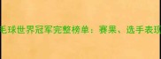 国际羽联男子羽毛球世界冠军完整榜单赛果选手表现及历史数据深度