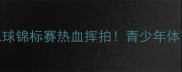 全国少年羽毛球锦标赛热血挥拍青少年体育发展新篇章
