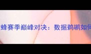 深度复盘鹈鹕VS黄蜂赛季巅峰对决数据鹈鹕如何逆风翻盘