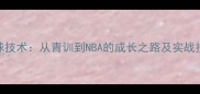 Seddy篮球技术从青训到NBA的成长之路及实战技巧分享
