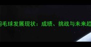 中国羽毛球发展现状成绩挑战与未来趋势全
