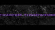 性价比高的羽毛球推荐学生党业余爱好者必看选购指南