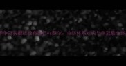 德甲争冠关键战役布鲁日vs萨尔攻防体系对决与争冠悬念终极