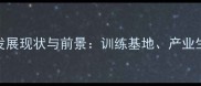 东莞羽毛球职业发展现状与前景训练基地产业生态及职业规划全