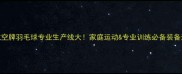 最新款航空牌羽毛球专业生产线大家庭运动专业训练必备装备选购指南