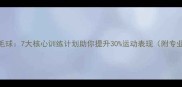 健身为了羽毛球7大核心训练计划助你提升30运动表现附专业体能方案