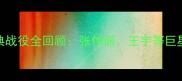 武林风方便25场经典战役全回顾张伟丽王宇等巨星巅峰对决高清集锦