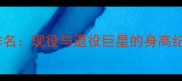 NBA历史最高球员排名现役与退役巨星的身高纪录附最新数据