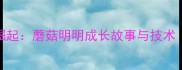 中国网球新星崛起蘑菇明明成长故事与技术附训练日常