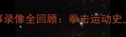 德怀特维尔德经典赛事录像全回顾拳击运动史上的巅峰对决与传奇时刻