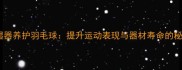 加湿器养护羽毛球提升运动表现与器材寿命的秘诀