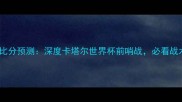 阿联酋vs卡塔尔比分预测深度卡塔尔世界杯前哨战必看战术与阵容分析