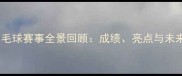 中国羽毛球赛事全景回顾成绩亮点与未来展望
