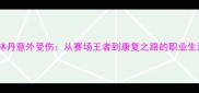 羽毛球名将林丹意外受伤从赛场王者到康复之路的职业生涯转折启示