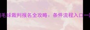 天津羽毛球裁判报名全攻略条件流程入口一网打尽