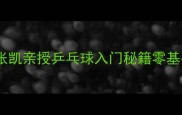 新手必看麒麟张凯亲授乒乓球入门秘籍零基础30天速成指南
