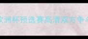 斯洛伐克vs西班牙欧洲杯预选赛高清双方争斗将决定中欧足球格局