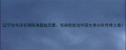 辽宁羽毛球名将陈清晨赵芸蕾双保险统治中国女单36年传奇之路