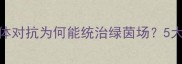 巴西球员身体对抗为何能统治绿茵场5大技术流秘诀