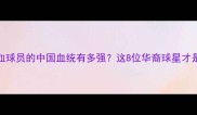 NBA混血球员的中国血统有多强这8位华裔球星才是真顶流