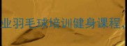 豪客羽毛球俱乐部北京专业羽毛球培训健身课程新手到高手的进阶指南