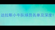 达拉斯小牛队球员名单及深度