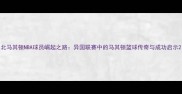 北马其顿NBA球员崛起之路异国联赛中的马其顿篮球传奇与成功启示