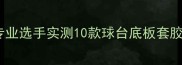 乒乓球推荐指南专业选手实测10款球台底板套胶附选购避坑技巧