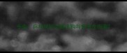 专业乒乓球护边器选购与使用全指南